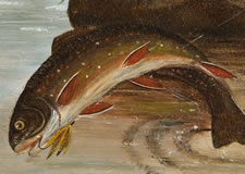 "LEAPING BROOK TROUT" by SAMUEL A. KILBOURNE (1836 - 1881)