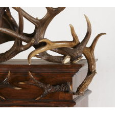 MAGIFICENT BLACK FOREST ANTLER GUN CABINET, LATE 19TH CENTURY