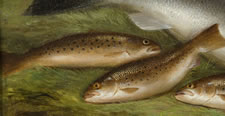 GEORGE E. FORSTER (1817-1896), STILL LIFE OF TROUT, NEW YORK, DATED 1888