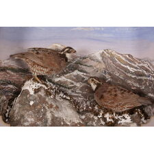 BEAUTIFUL 19TH CENTURY TAXIDERMY DIORAMA OF BOBWHITE QUAIL, WITH A WALLPAPER-DECORATED STRUCTURE, BY MADISON BURNETT, A FRAMER IN KENDALL, NEW YORK (LAKE ONTARIO), circa 1890