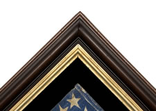 38 STARS, COLORADO STATEHOOD, 1876-1889, WITH ESPECIALLY LARGE STARS AND STRONG COLORATION