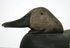 LARGE SCALE CANVASBACK DECOYS BY ALVIN HAIGE, SAGINAW, MI, 1920-40