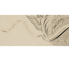 EAGLE CALLIGRAPHY DRAWING BY GEORGE BEACH, ZANERIAN ART COLLEGE, COLUMBUS, OHIO, 1902
