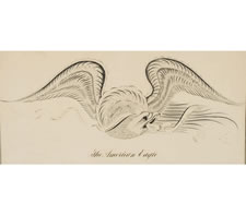 EAGLE CALLIGRAPHY DRAWING BY GEORGE BEACH, ZANERIAN ART COLLEGE, COLUMBUS, OHIO, 1902