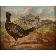 DIMINUTIVE PAINTING OF PHEASANT, OIL ON WOODEN PANEL, ENGLISH, circa 1860-80