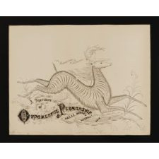 ELABORATE CALLIGRAPHY DRAWING FEATURING DIANA, GODDESS OF THE HUNT, RIDING A STAG, SIGNED AND DATED 1888