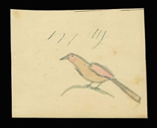 LANCASTER COUNTY, PENNSYLVANIA GERMAN WATERCOLOR OF A SMALL BIRD ON A TWIG, CA 1840-60